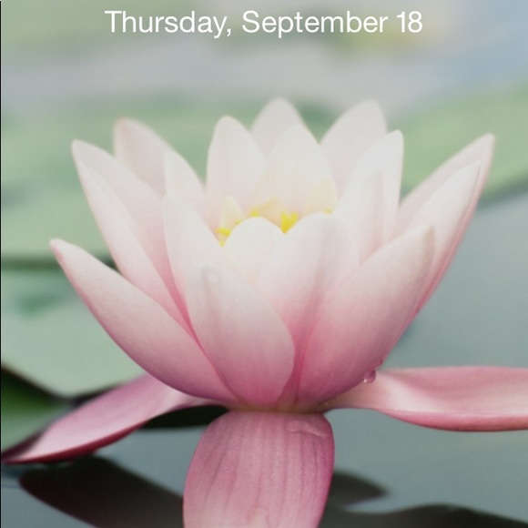 Meet your Posher, Elizabeth - Picture 1 of 1